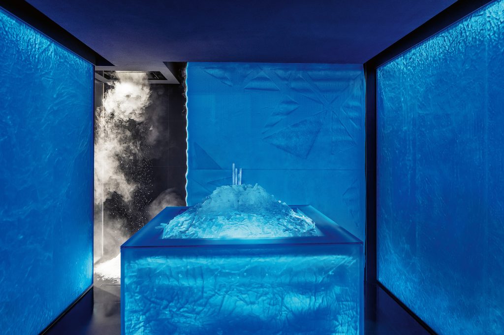 FRIMAS Ice Steam Room